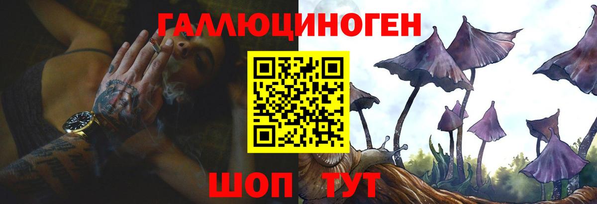 Россия  Псилоцибиновые грибы ЛСД  Вход с VPN 