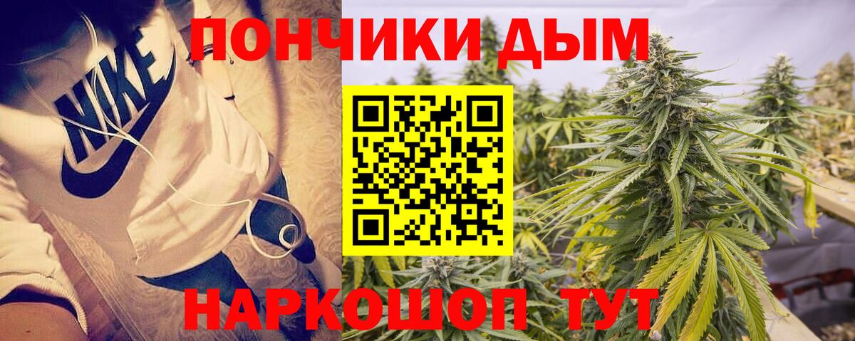 Бошки Шишки SATIVA & INDICA Россия